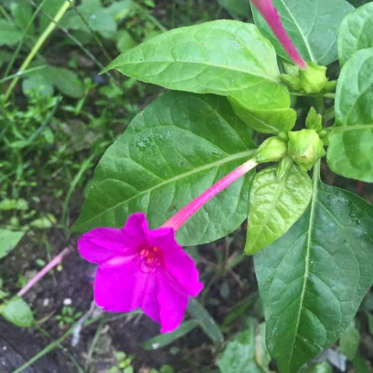 于瑜欲渔