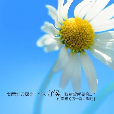 卓越再生资源有限公司