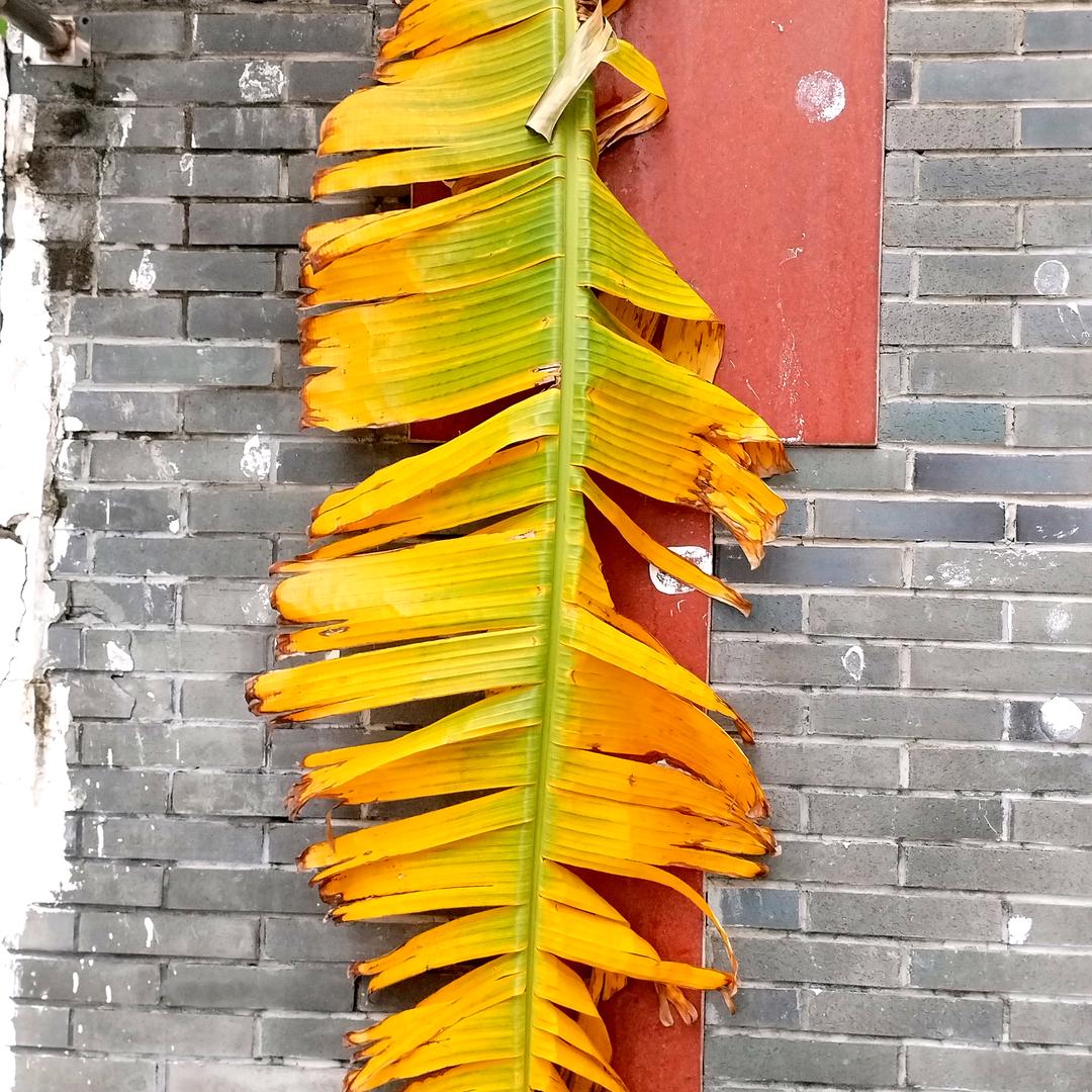 杭州简墨画廊