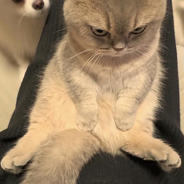 夜清溪