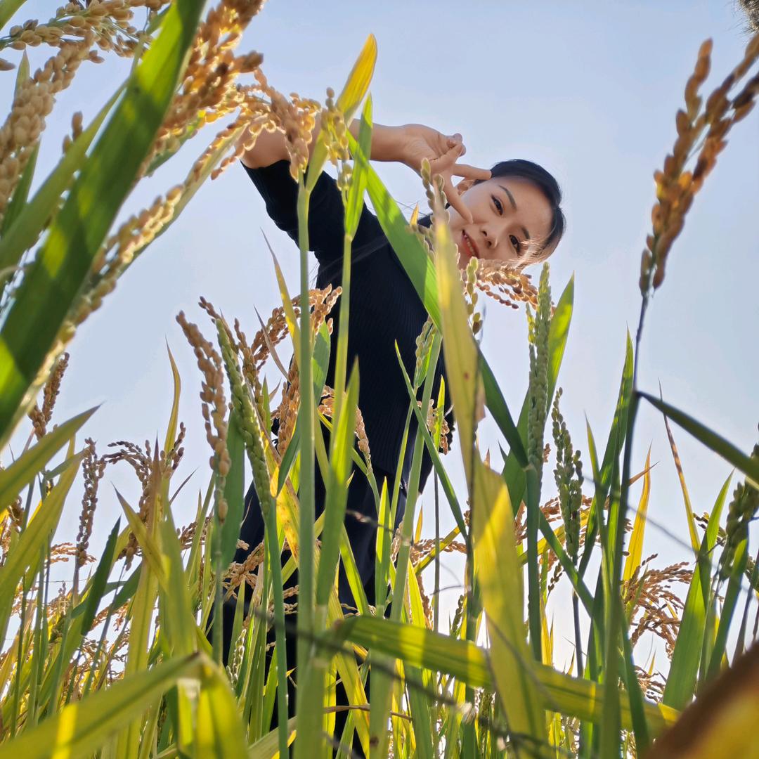 @毛毛￥(^･ｪ･^)