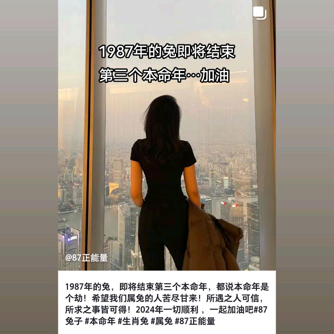 开:心果