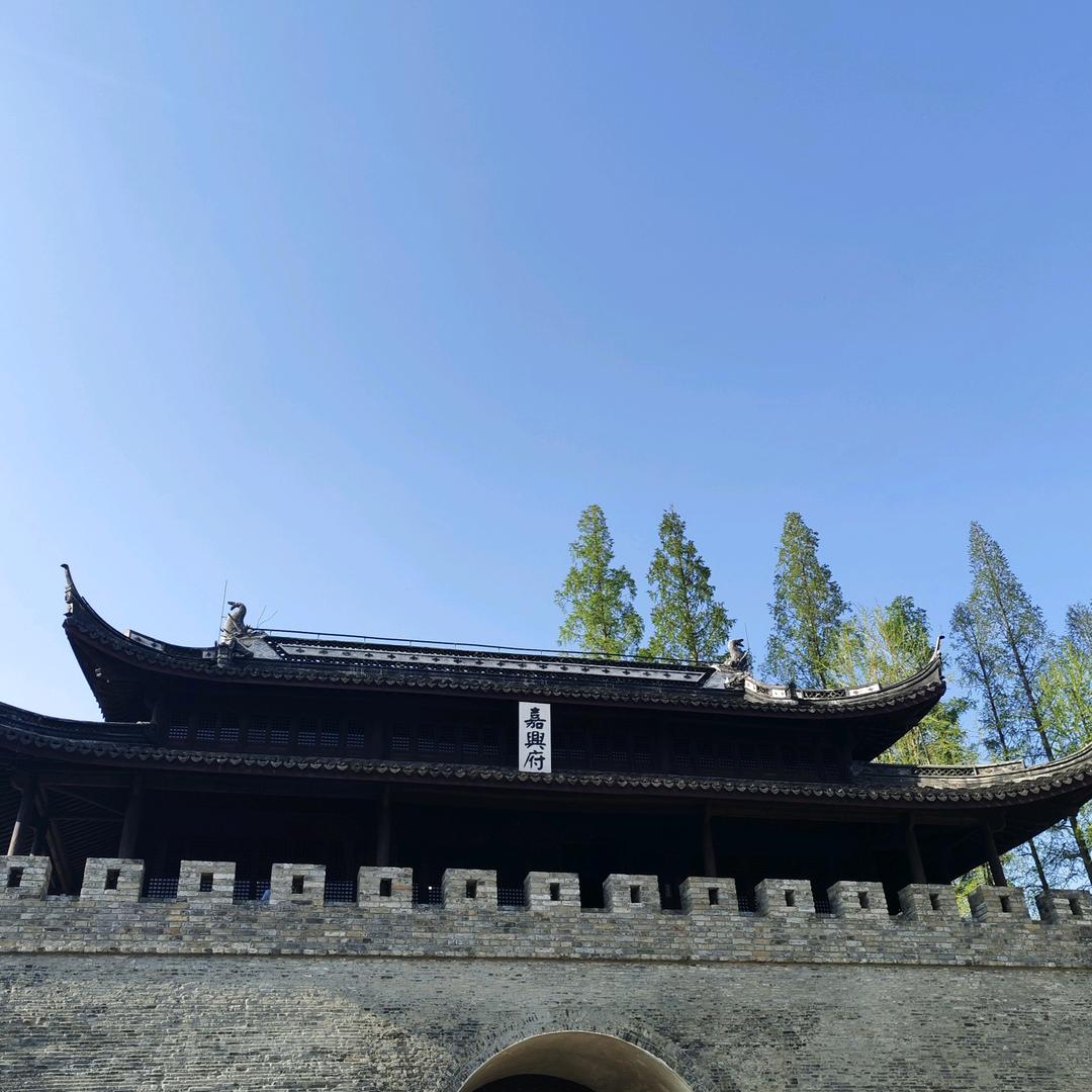 @禾城【老九】