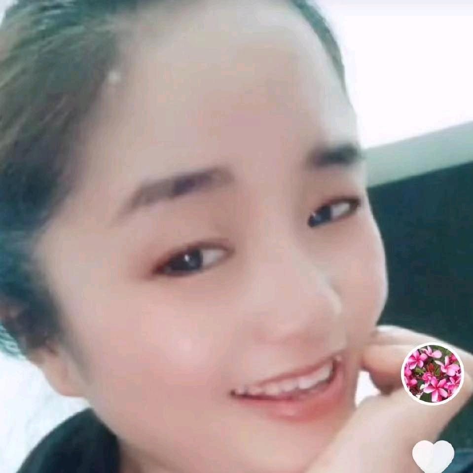 风起尘世间，阳光依旧