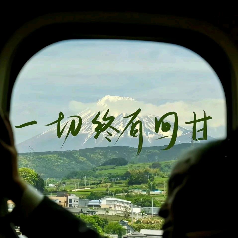 满仓🐬