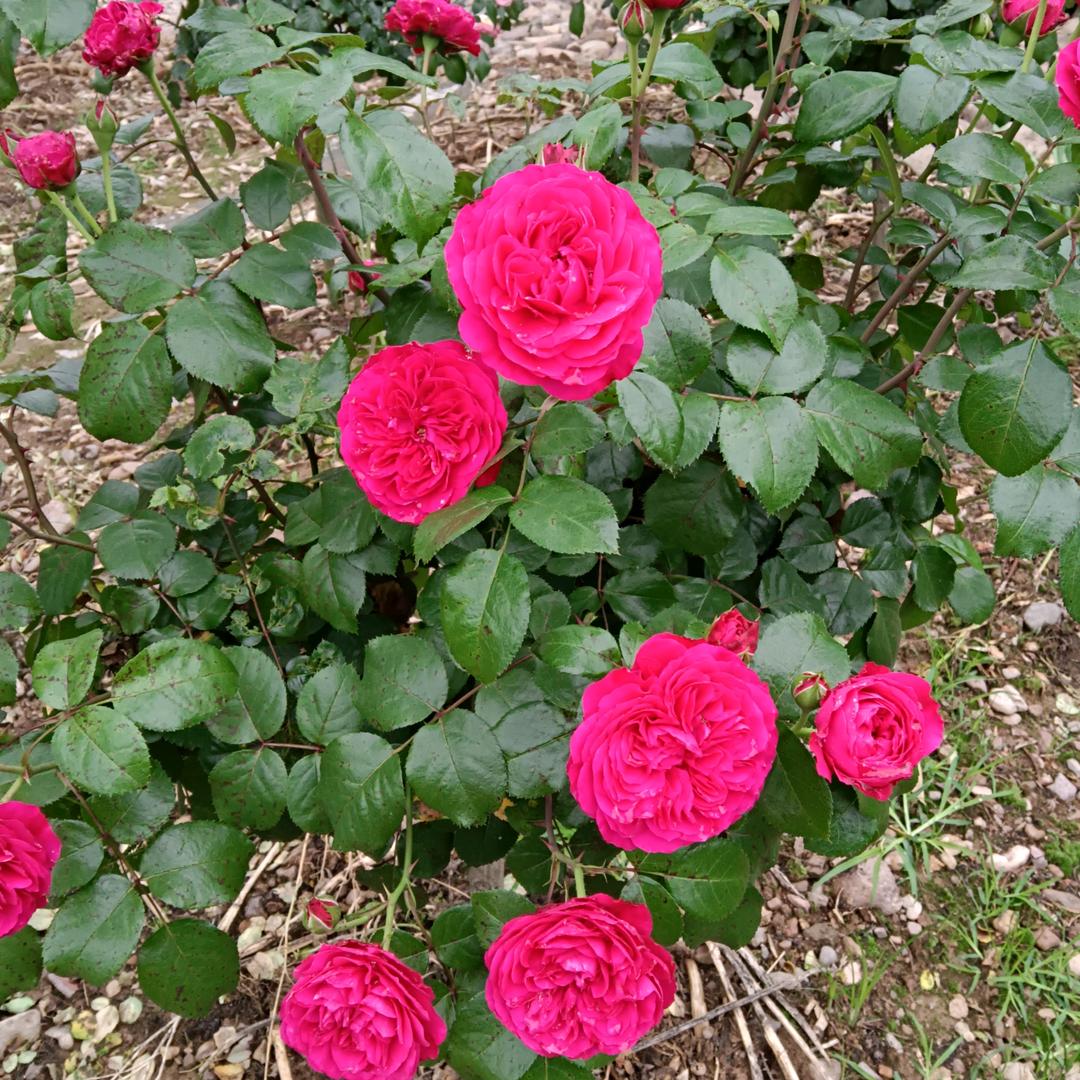 余生好好爱自己😜