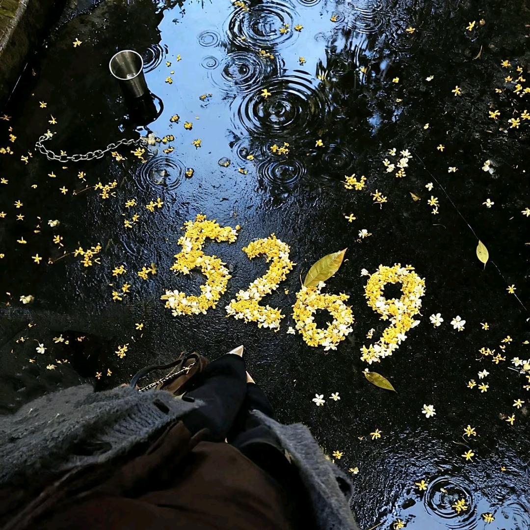 秦志远我电饭锅呢⁵²⁶⁹🚶‍樂楽