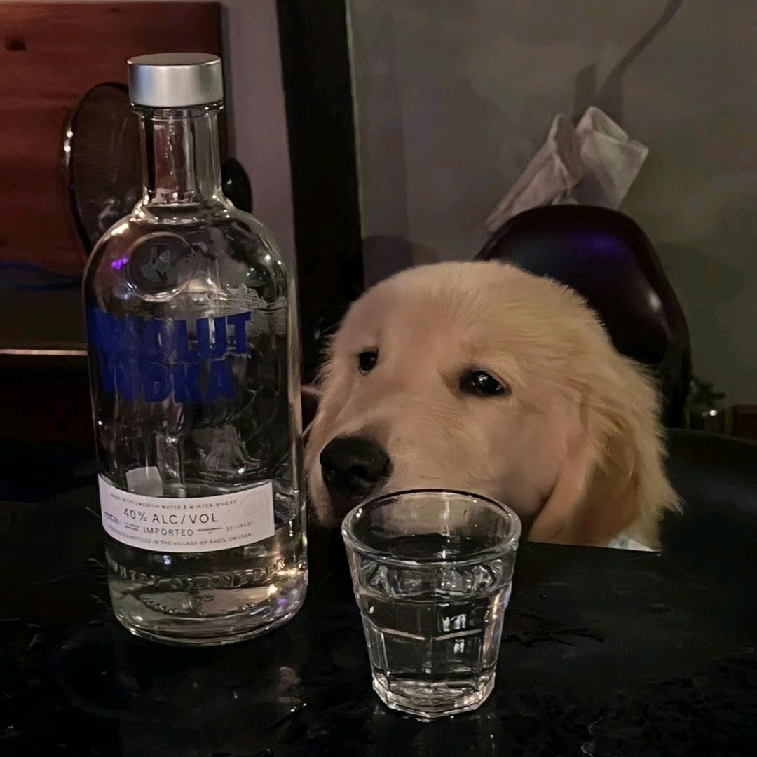 7-7--