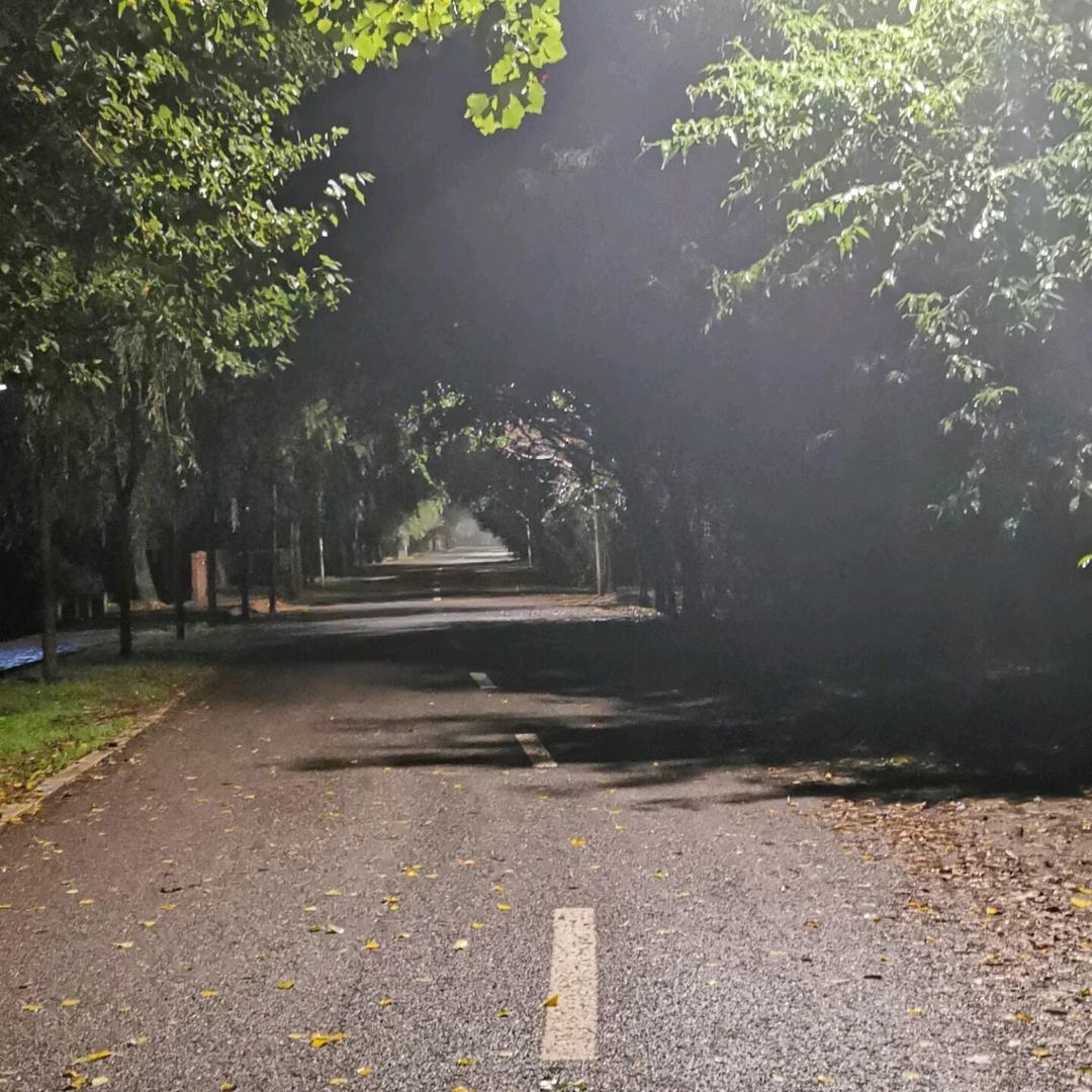 等风来