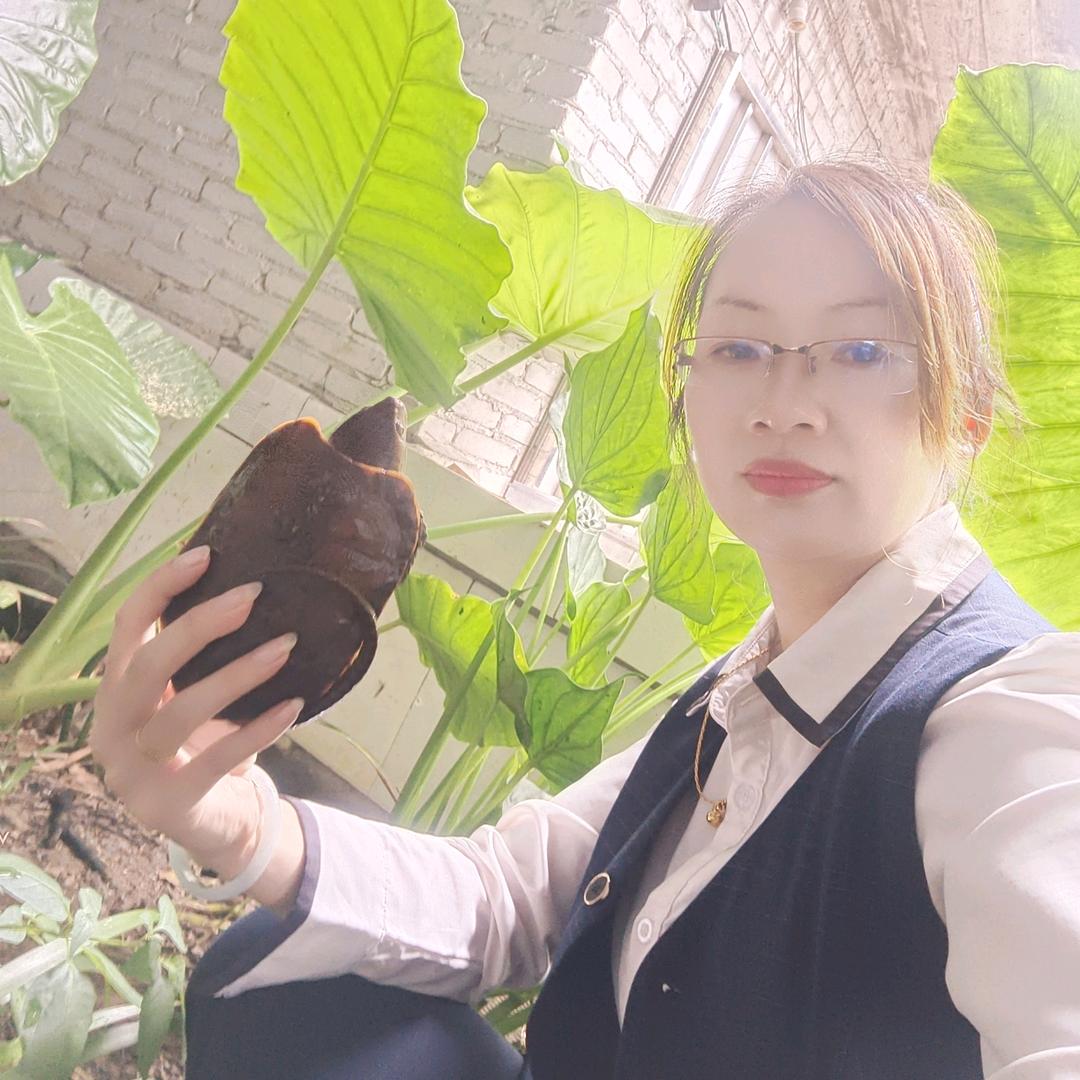 藤县燕子鹰嘴龟养殖场