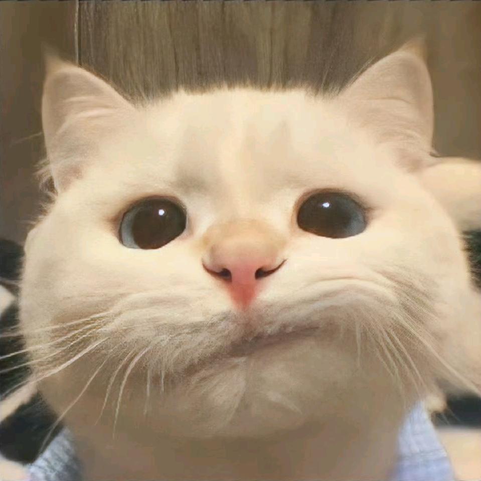 摸鱼大王历险记