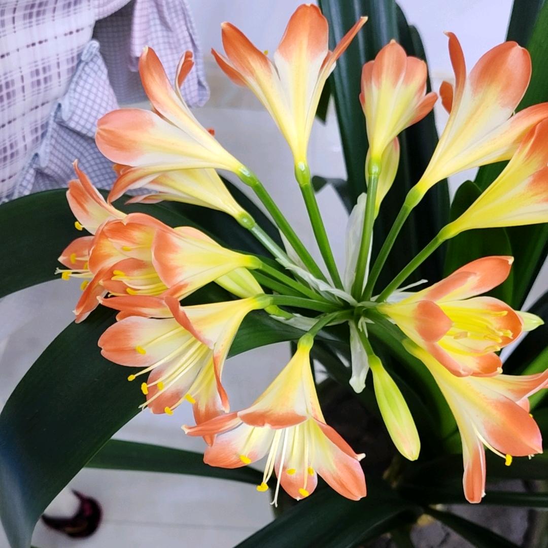 余生好好爱自己