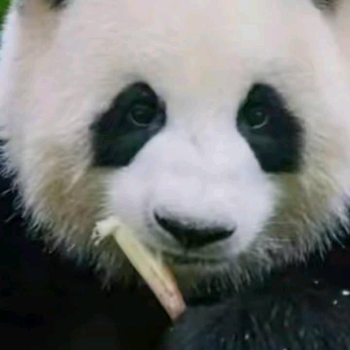 2024单身帅哥‖加油