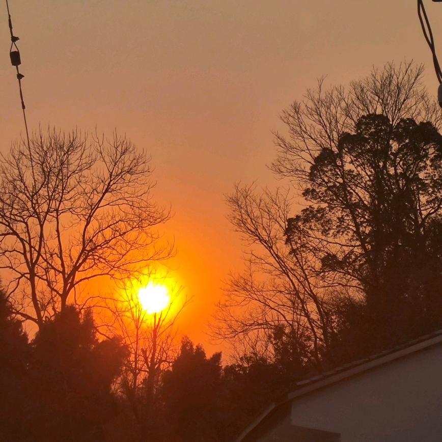 风生水起的小财迷