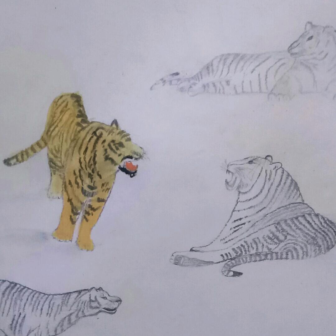 顺风顺水工作室