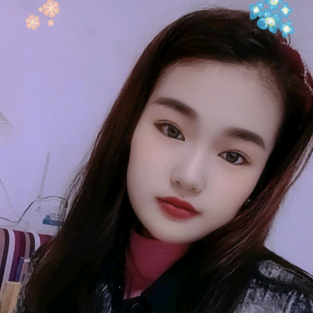 梦的翅膀