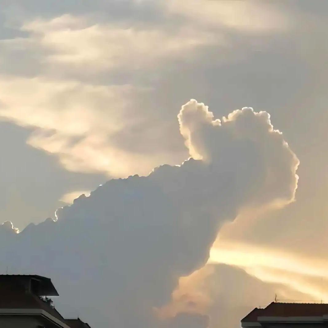 辉