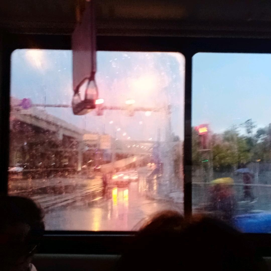 语枫