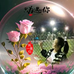🕊꧔ꦿ᭄💞若只如初见💞꧔ꦿ᭄🕊