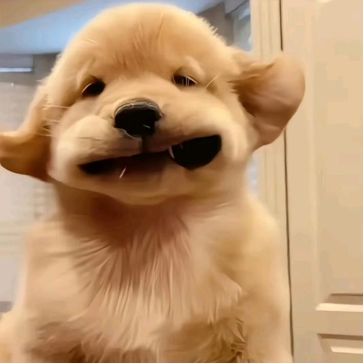 ʰᵉˡˡᵒ𝙠𝙞𝙩𝙩𝙮