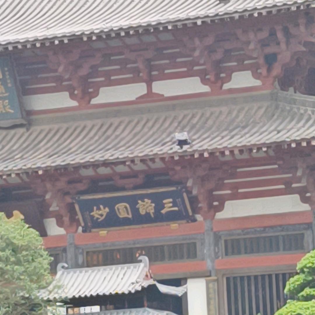 霸道❤️你1️⃣万年重生