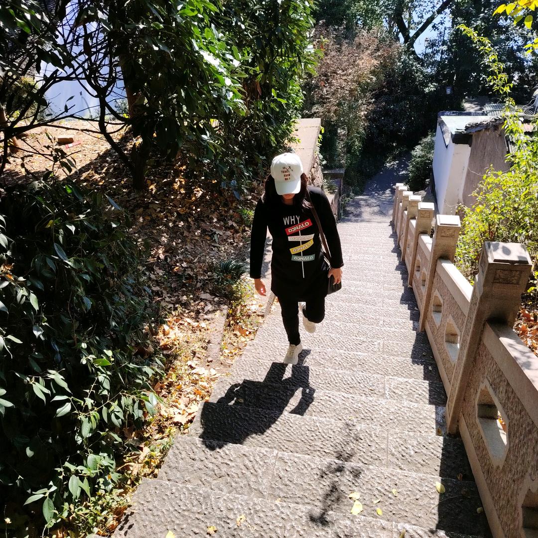 珍姐