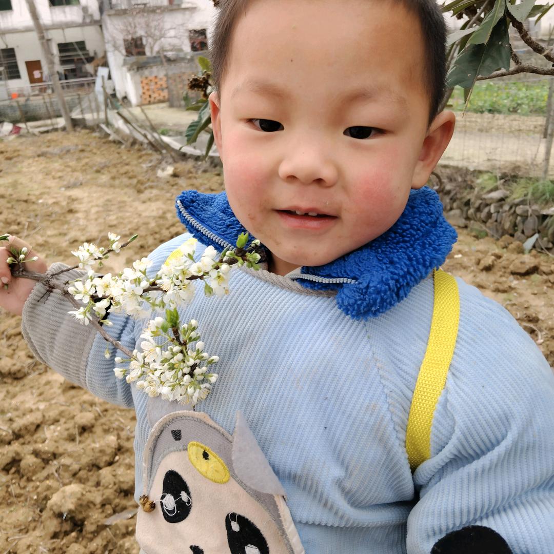 叶子