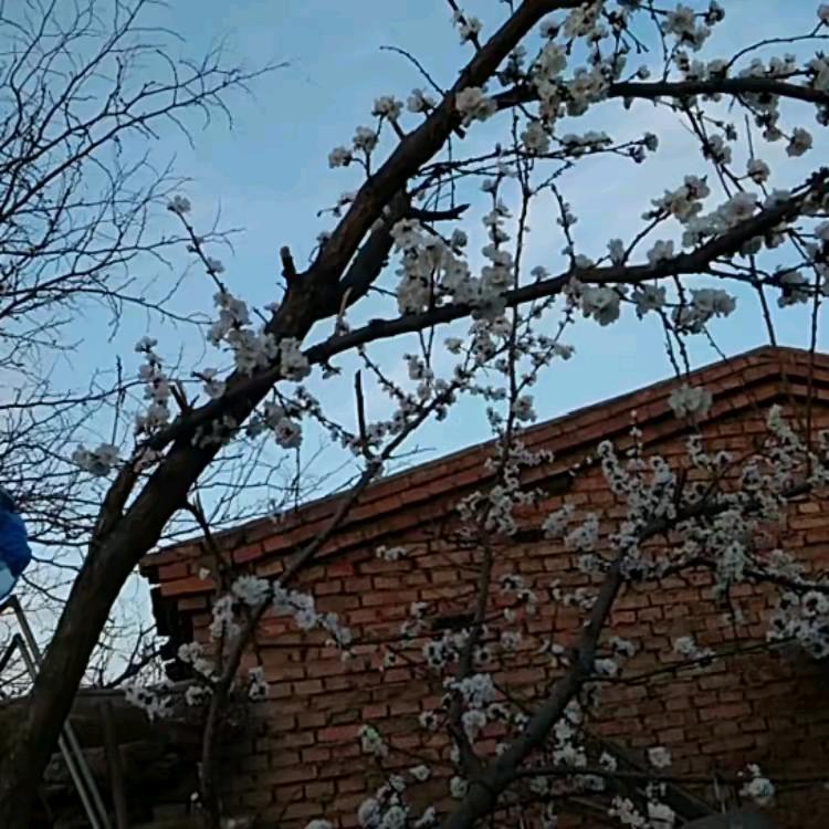 ‘健康快乐