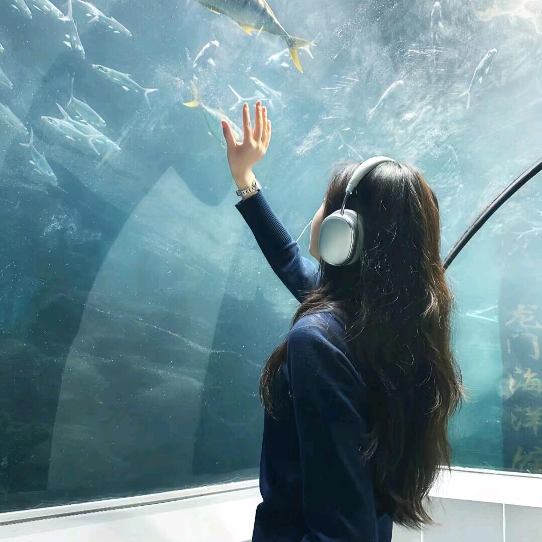 图拉