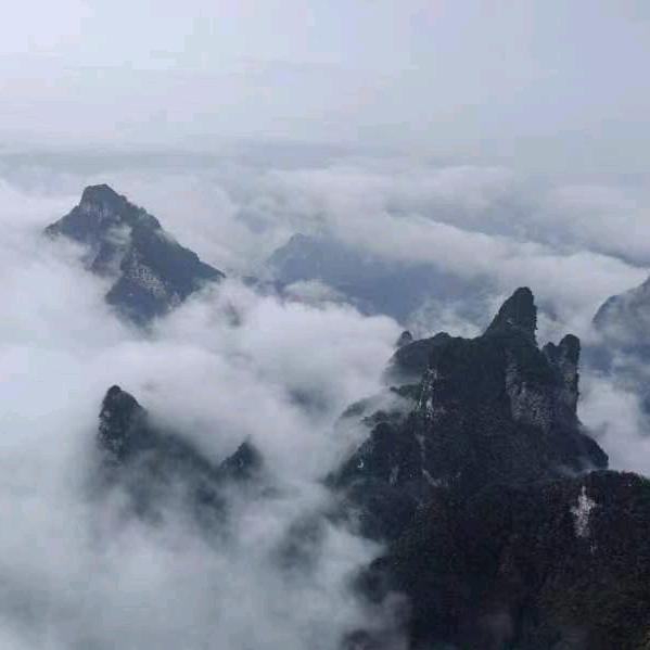 海阔天空2025