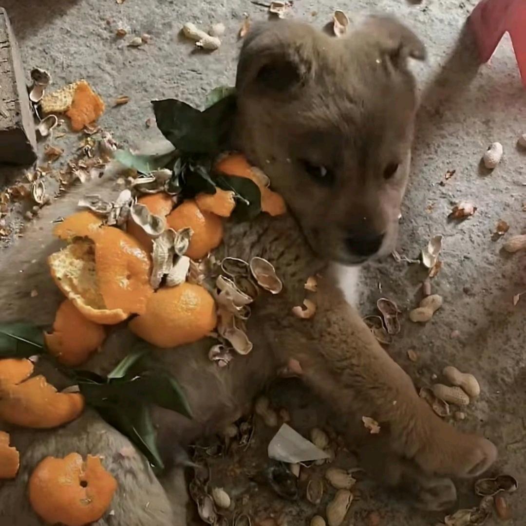 相识相知又归零