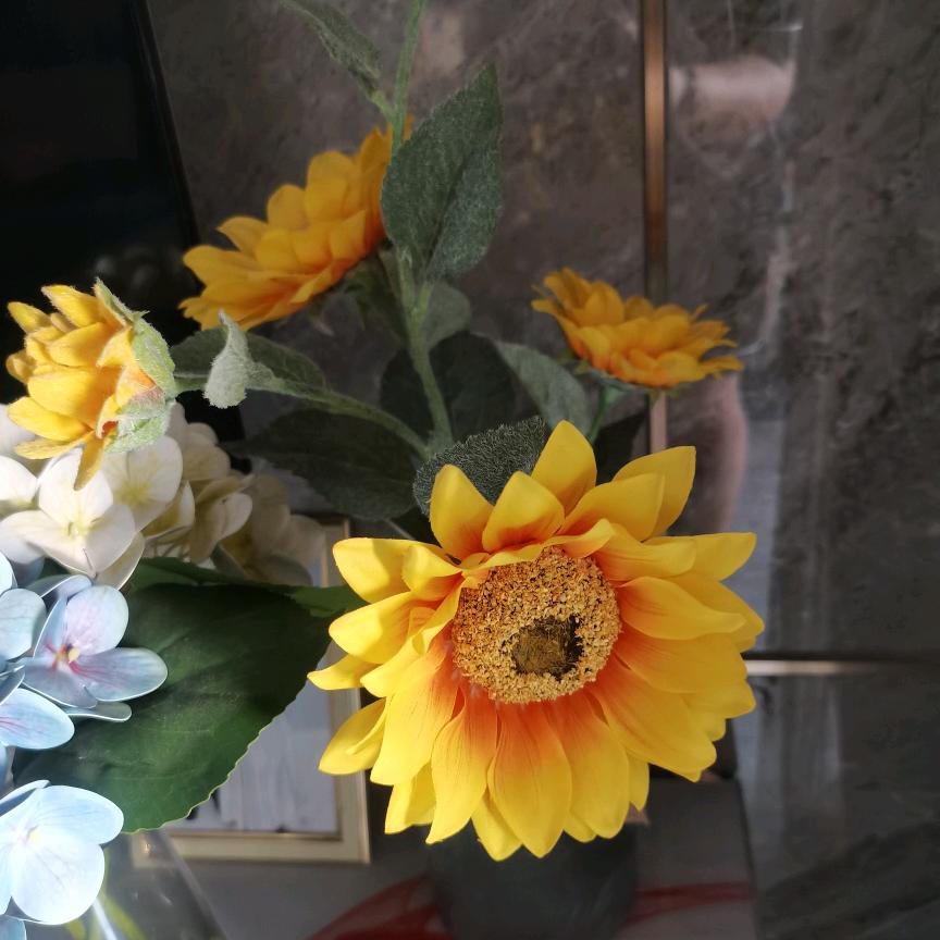 @忘忧草（拒绝连赞）