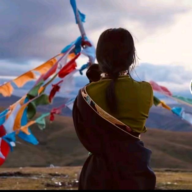 བྱ་་བ་ལམ་འགྲོ། 🌹((❤