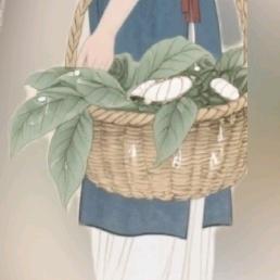 春风农资