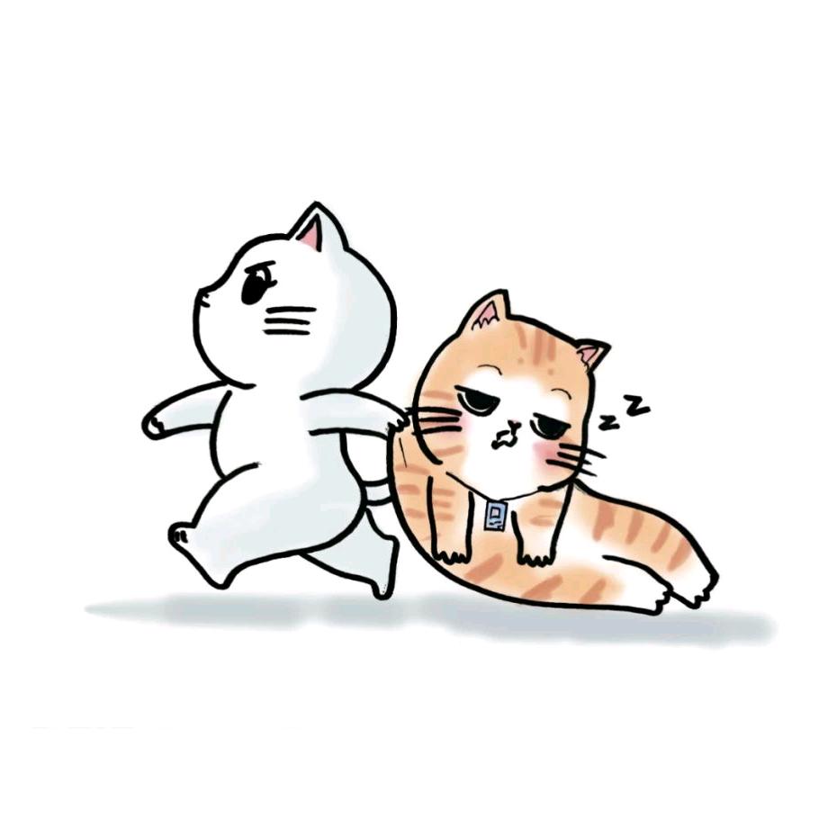 健健康康（互关互注）ʚ🧸ྀིɞ