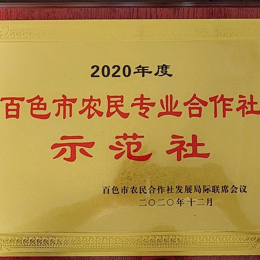 绿发田阳芒果精品小铺