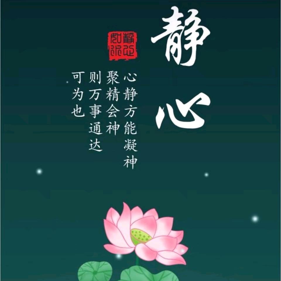 汐财，财运亨通🙏