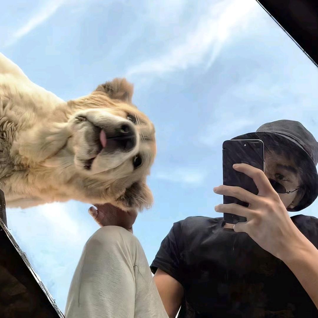 航z