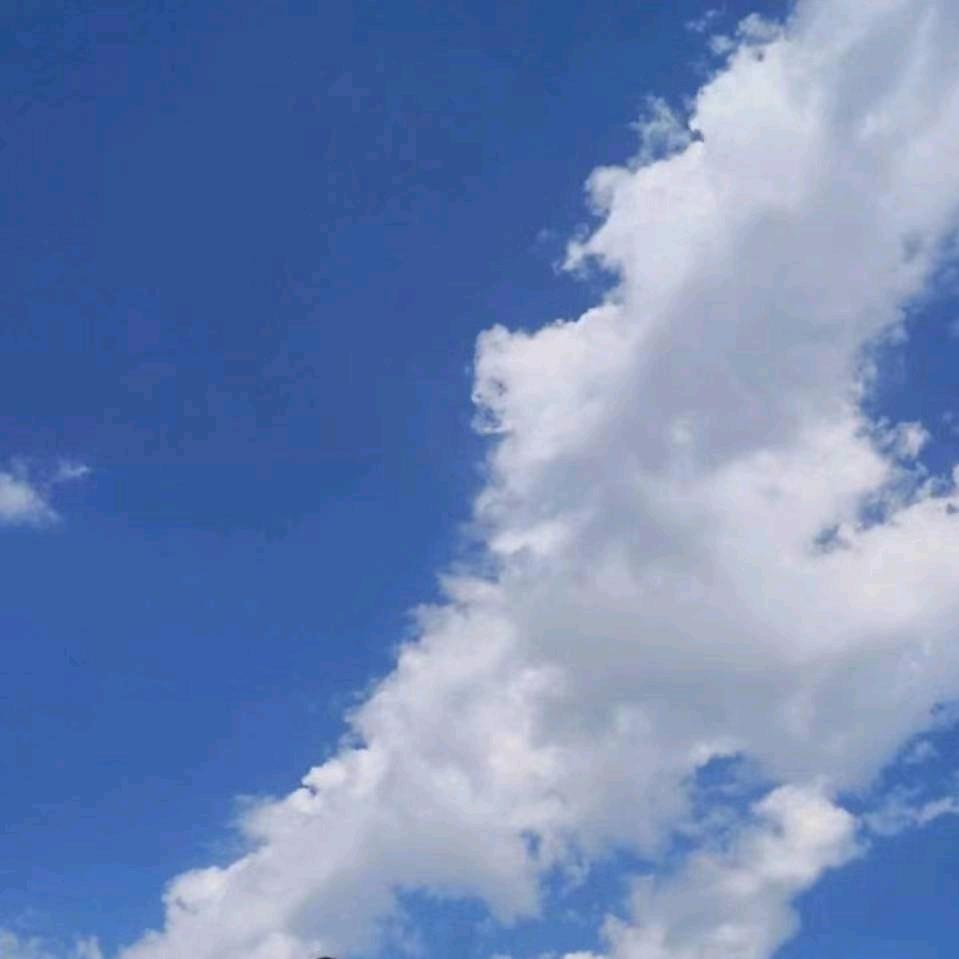 感觉