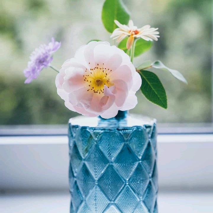 🌺🌺随缘21💐💐