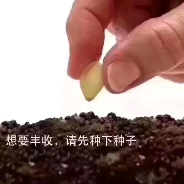 农村鹏哥🇨🇳🇨🇳🇨🇳