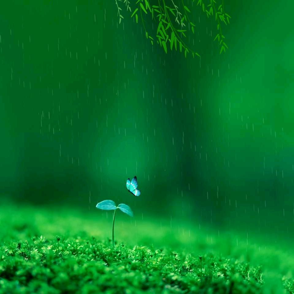 秋天的童话