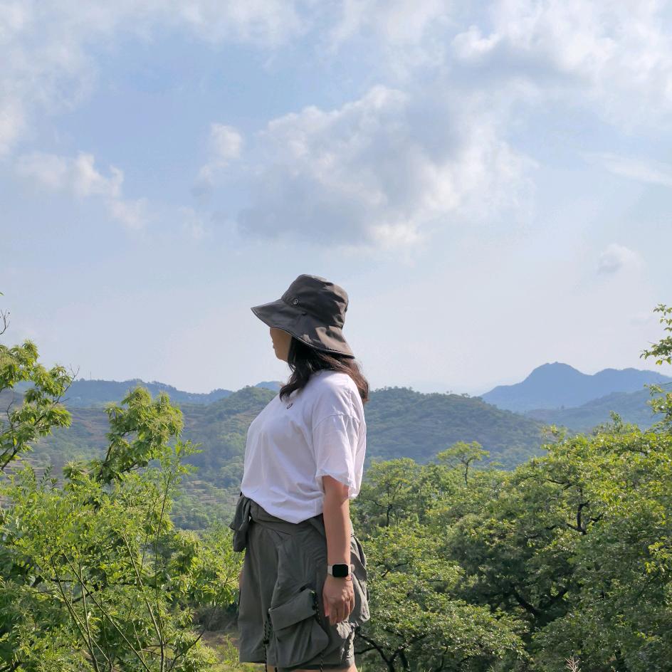 木末绯颜