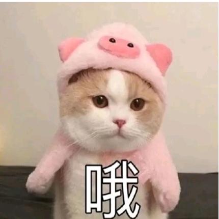 ㅤㅤㅤㅤㅤㅤㅤㅤ🙄