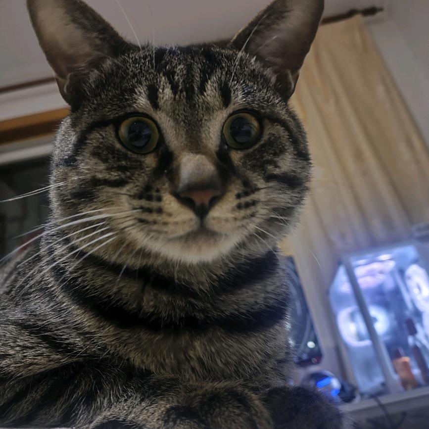 七月不肥💨💦八十斤