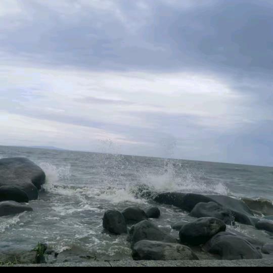 广州涟莘科技有限公司企业店