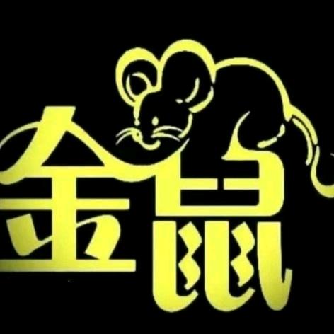 金鼠手写✍🏻