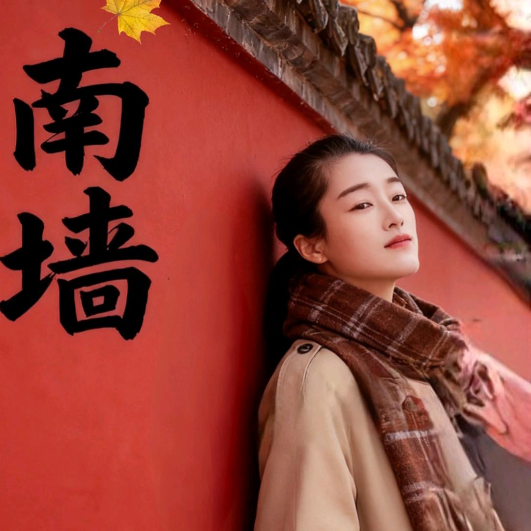 华帝集成灶，林内热水器（心一一晴）