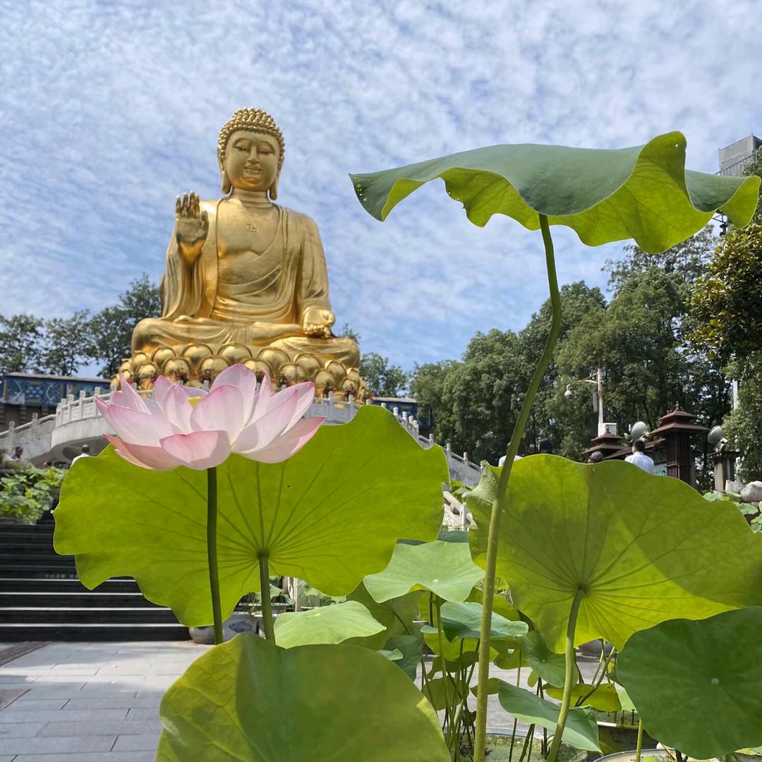 开开心心每一天