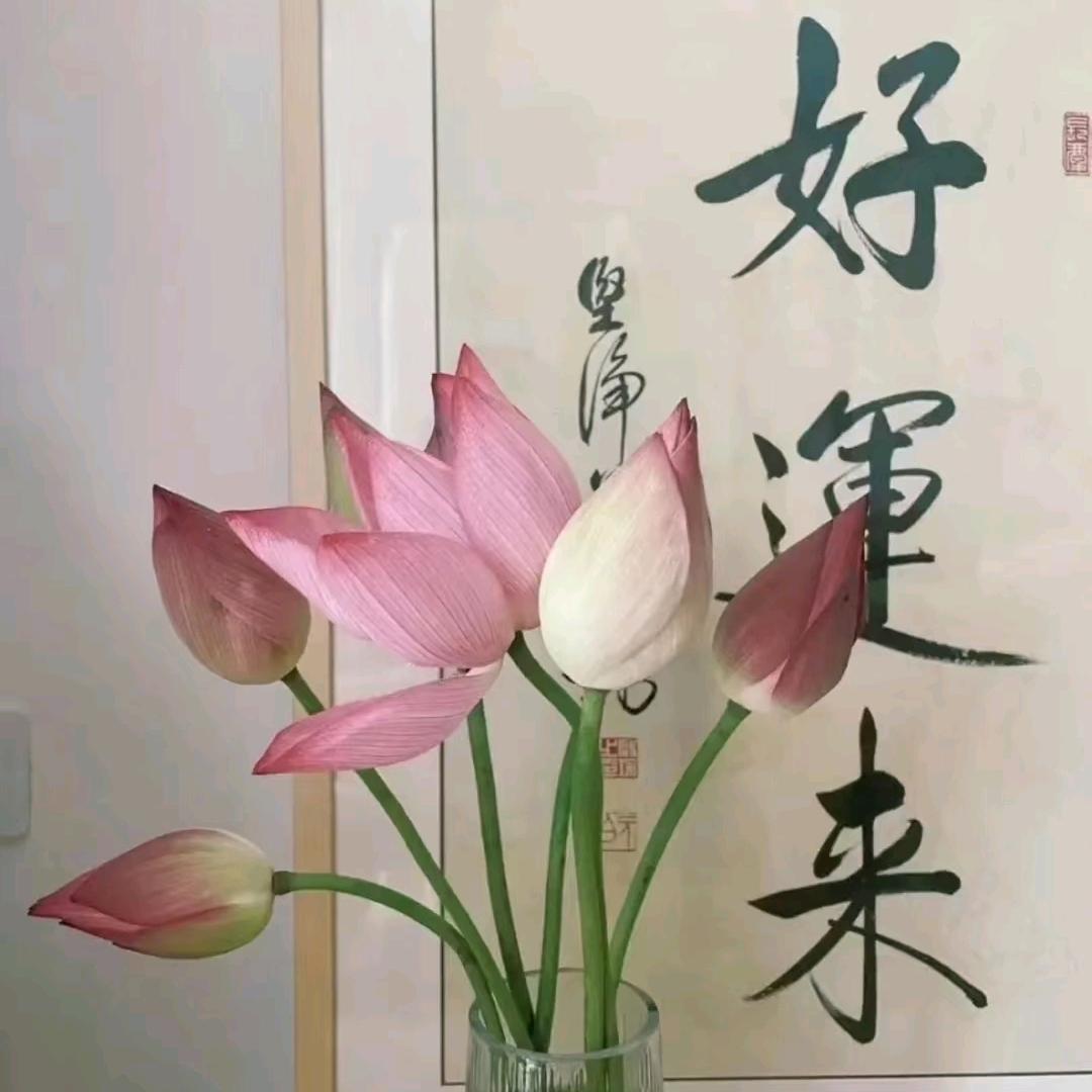 苗苗服饰06